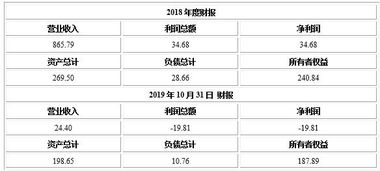 天津建设工程监理公司转让项目921104 机遇与风险分析